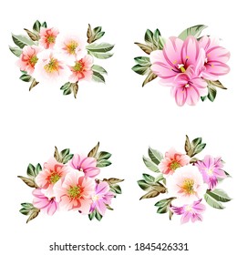 Flowers set. Collection of floral elements
