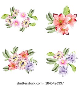 Flowers set. Collection of floral elements