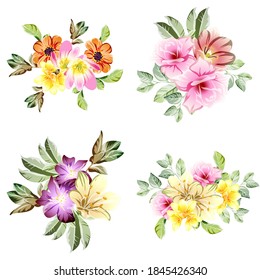 Flowers set. Collection of floral elements