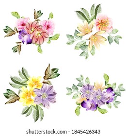 Flowers set. Collection of floral elements