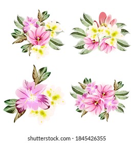 Flowers set. Collection of floral elements