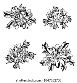 Flowers set. Collection of floral elements