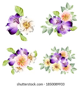 Flowers set. Collection of floral elements