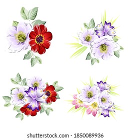 Flowers set. Collection of floral elements