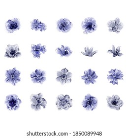 Flowers set. Collection of floral elements