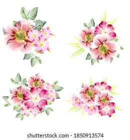 Flowers set. Collection of floral elements