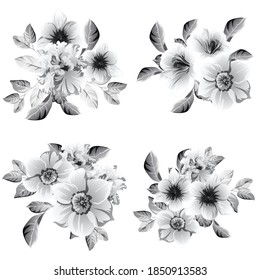 Flowers set. Collection of floral elements