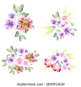 Flowers set. Collection of floral elements