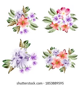 Flowers set. Collection of floral elements