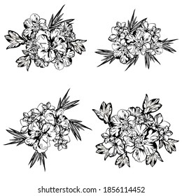 Flowers set. Collection of floral elements