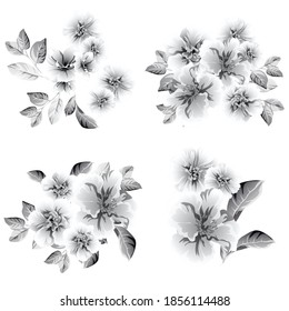 Flores puestas. Colección de elementos florales