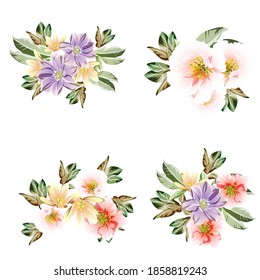 Flowers set. Collection of floral elements
