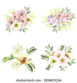 Flowers set. Collection of floral elements