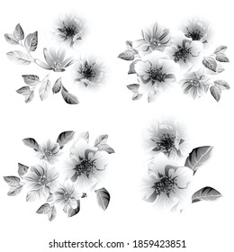 Flowers set. Collection of floral elements