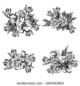 Flowers set. Collection of floral elements