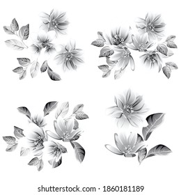 Flowers set. Collection of floral elements