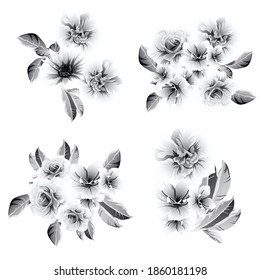 Flowers set. Collection of floral elements