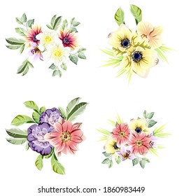 Flowers set. Collection of floral elements