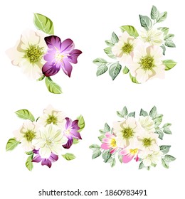 Flores puestas. Colección de elementos florales