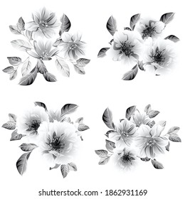 Flores puestas. Colección de elementos florales