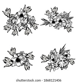Flowers set. Collection of floral elements