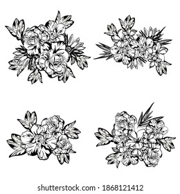 Flowers set. Collection of floral elements
