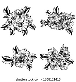 Flowers set. Collection of floral elements
