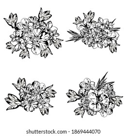 Flowers set. Collection of floral elements