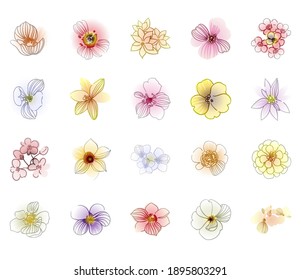 Flores puestas. Colección de elementos florales