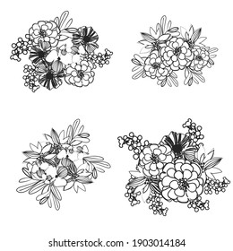 Flowers set. Collection of floral elements
