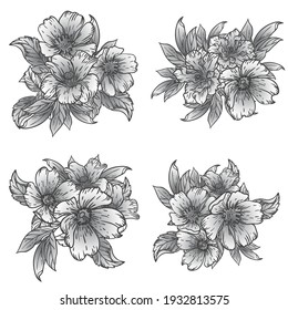 Flowers set. Collection of floral elements