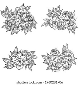 Flowers set. Collection of floral elements