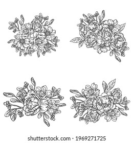 Flowers set. Collection of floral elements