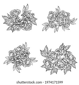 Flowers set. Collection of floral elements