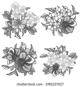 Flowers set. Collection of floral elements
