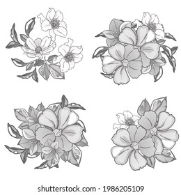 Flowers set. Collection of floral elements
