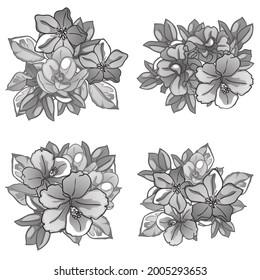 Flowers set. Collection of floral elements