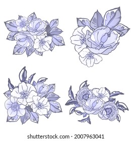 Flowers set. Collection of floral elements