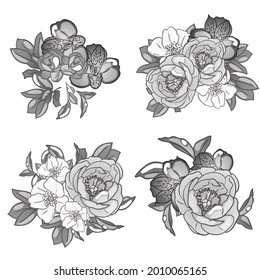 Flowers set. Collection of floral elements