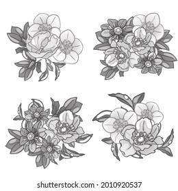 Flores puestas. Colección de elementos florales