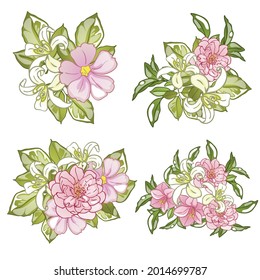 Flowers set. Collection of floral elements