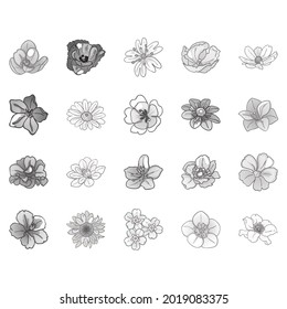 Flowers set. Collection of floral elements