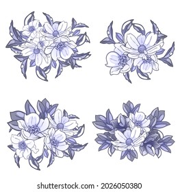 Flowers set. Collection of floral elements