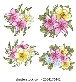 Flowers set. Collection of floral elements