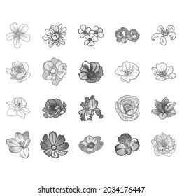 Flowers set. Collection of floral elements