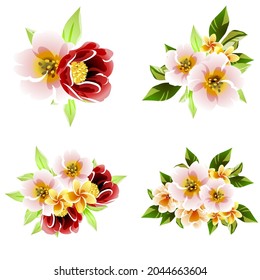 Flowers set. Collection of floral elements