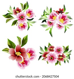 Flowers set. Collection of floral elements