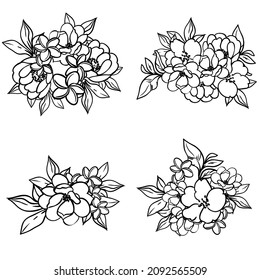 Flowers set. Collection of floral elements