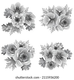 Flowers set. Collection of floral elements