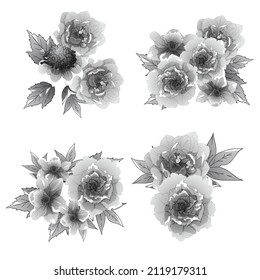 Flowers set. Collection of floral elements
